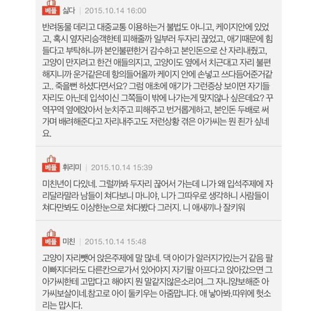 판) 기차에 고양이 데리고 탄 아가씨때문에 죽을뻔했어요 | 인스티즈