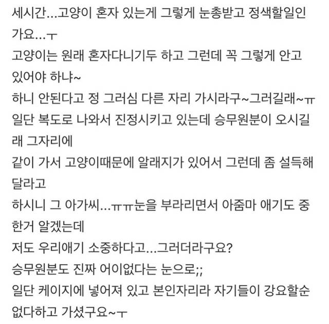 판) 기차에 고양이 데리고 탄 아가씨때문에 죽을뻔했어요 | 인스티즈