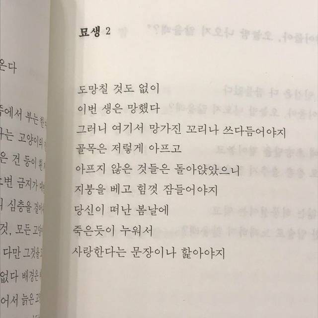 사랑은 이렇게 한 도시를, 물바다로 만듭니다 | 인스티즈