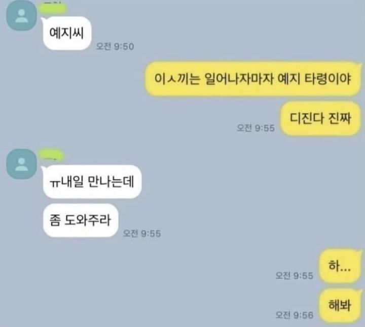 전국의 예지들 비상 | 인스티즈