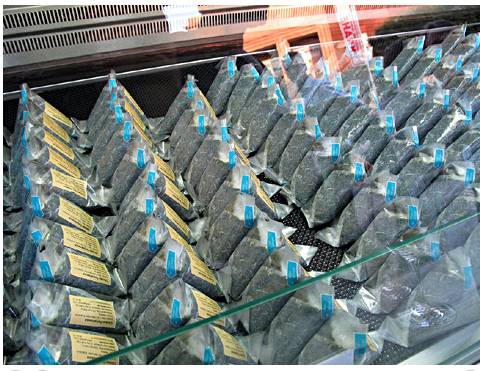 독일에서 인기 많다는 일본 먹거리 | 인스티즈