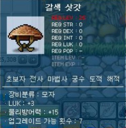 2000년대 추억의 메이플스토리"아이템" | 인스티즈