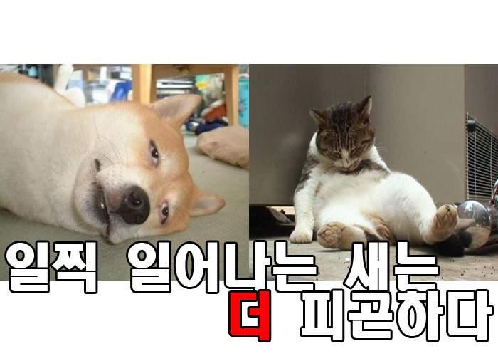 진짜 사회에 나오면 느끼는거.jpg | 인스티즈