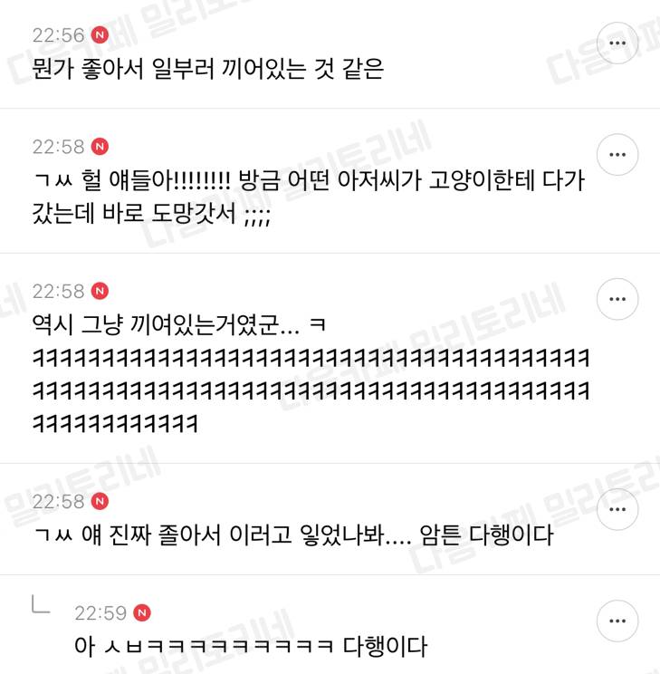 얘들아 어떡해 우리 아파트 1층에 고양이가 이렇기 끼어있어 어떡하지? | 인스티즈