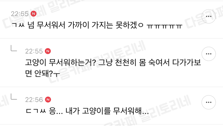 얘들아 어떡해 우리 아파트 1층에 고양이가 이렇기 끼어있어 어떡하지? | 인스티즈