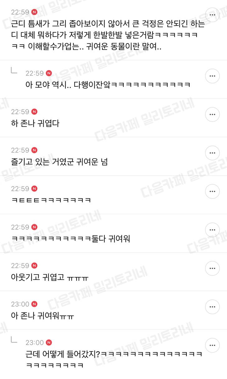 얘들아 어떡해 우리 아파트 1층에 고양이가 이렇기 끼어있어 어떡하지? | 인스티즈