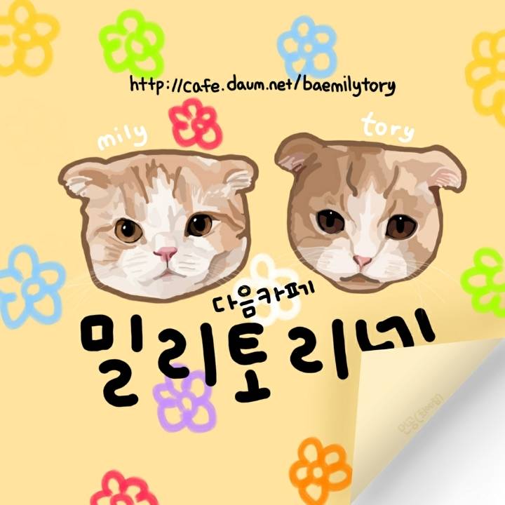 고양이 따라가는 까치 | 인스티즈