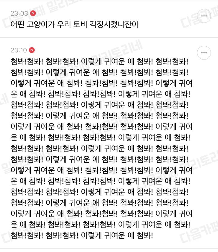 얘들아 어떡해 우리 아파트 1층에 고양이가 이렇기 끼어있어 어떡하지? | 인스티즈