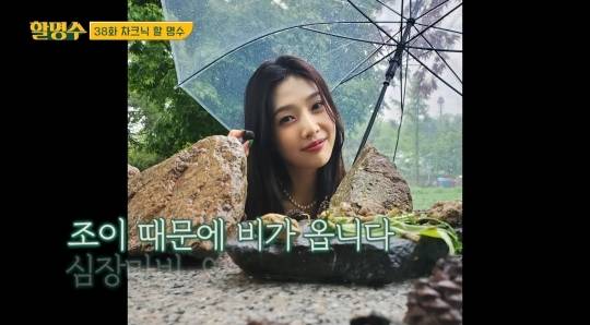 박명수가 찍은 조이 사진 최신ver | 인스티즈