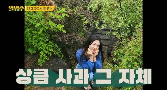 박명수가 찍은 조이 사진 최신ver | 인스티즈