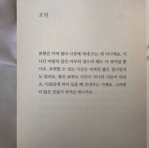네가 버리지 못하는 유일한 문장이 되고 싶다 | 인스티즈