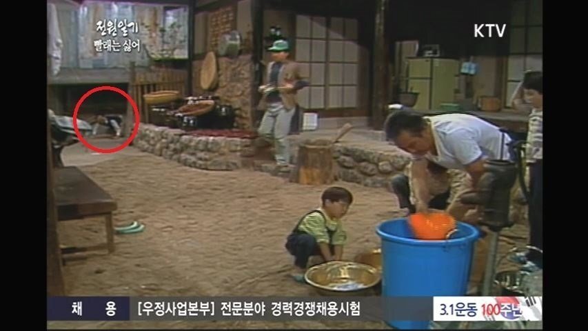 사람들은 잘 모르는 방송사고 레전드.gif | 인스티즈