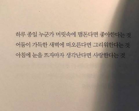 네가 버리지 못하는 유일한 문장이 되고 싶다 | 인스티즈