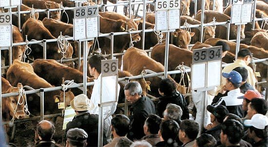 한국 장바구니 물가가 외국에 비해 비싼 이유.JPG | 인스티즈