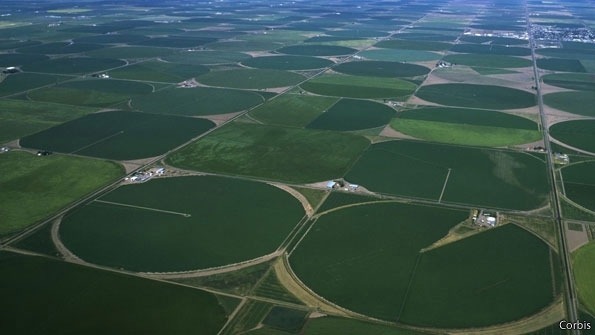 한국 장바구니 물가가 외국에 비해 비싼 이유.JPG | 인스티즈