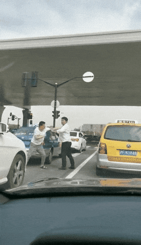 신호 대기 중 차에서 내려 도로 중간에서 싸우는 사람 둘 | 인스티즈