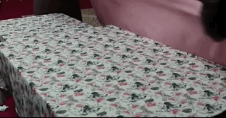 짝녀한테 까이고. 만년 백수인데 환갑잔치에서 마주쳤어요 ㅠㅠ;;.gif | 인스티즈