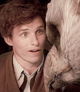 "그것이 옳은 일이기에 했다” 해리포터 세계관의 후플푸프와 뉴트 스캐맨더에 대해 | 인스티즈