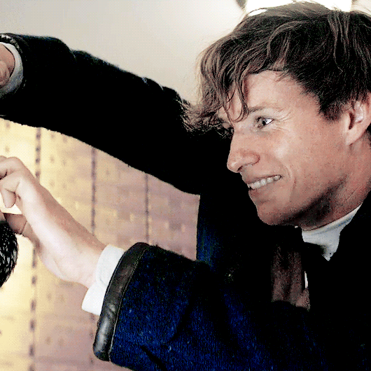 "그것이 옳은 일이기에 했다” 해리포터 세계관의 후플푸프와 뉴트 스캐맨더에 대해 | 인스티즈