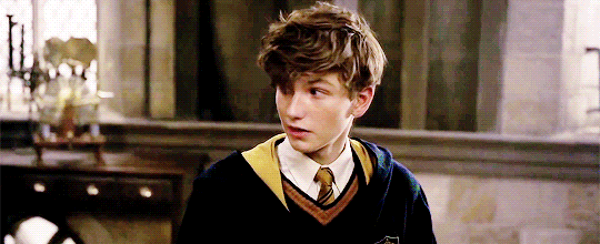 "그것이 옳은 일이기에 했다” 해리포터 세계관의 후플푸프와 뉴트 스캐맨더에 대해 | 인스티즈