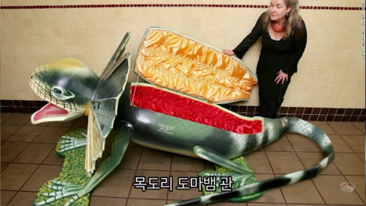 가나의 특이한 장례식 관 | 인스티즈