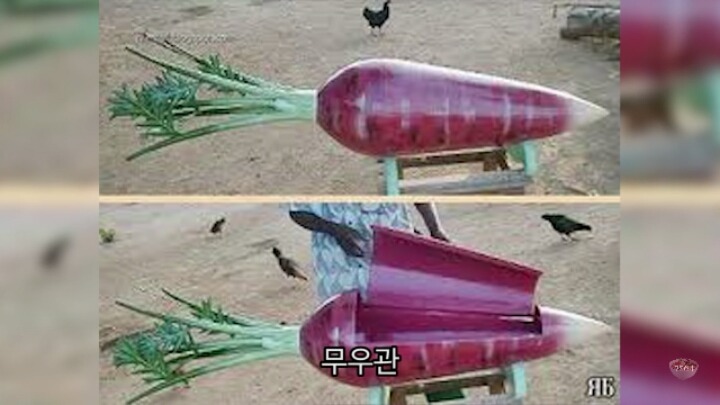 가나의 특이한 장례식 관 | 인스티즈