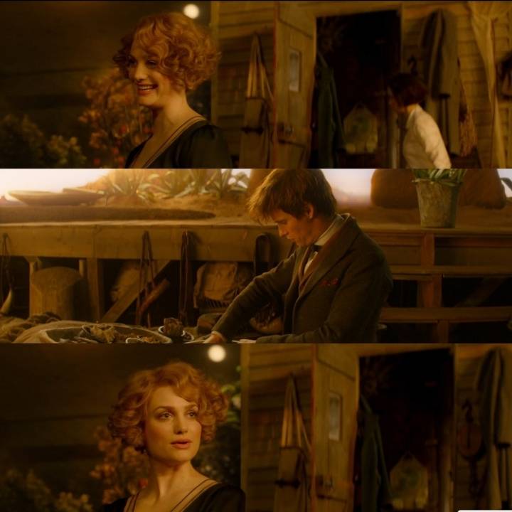 "그것이 옳은 일이기에 했다” 해리포터 세계관의 후플푸프와 뉴트 스캐맨더에 대해 | 인스티즈