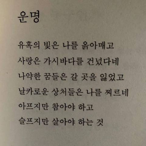 끝나는건 우리의 목숨뿐이야 별거 아니잖아 | 인스티즈