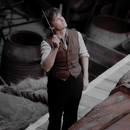 "그것이 옳은 일이기에 했다” 해리포터 세계관의 후플푸프와 뉴트 스캐맨더에 대해 | 인스티즈