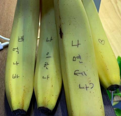 끝나는건 우리의 목숨뿐이야 별거 아니잖아 | 인스티즈