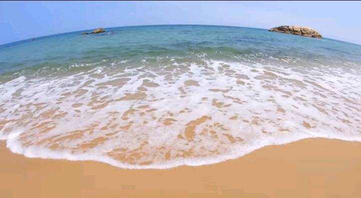 오리와 함께 바다에가면 생기는 일 | 인스티즈