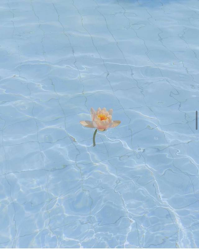 진부하지만 당신의 향기와 온도는 나의 봄이었다.jpg | 인스티즈