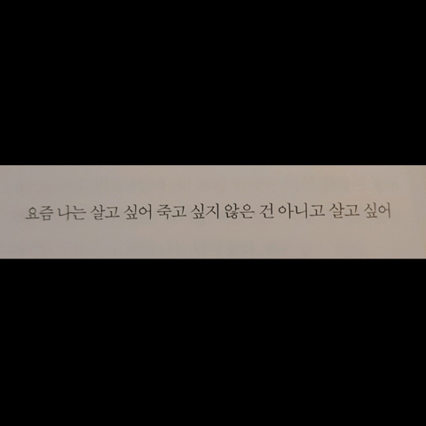 사람들은 날 어른이라 하는데, 나 아닌 것들만 점점 더 늘어가 | 인스티즈