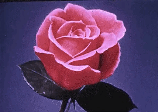 완벽주의자보다 경험주의자가 나은 이유 | 인스티즈