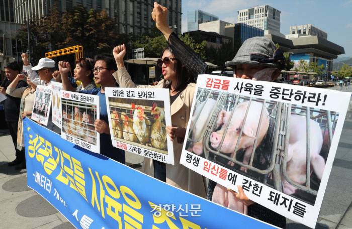 최근 사람들이 채식 시작하는 가장 큰 이유 | 인스티즈