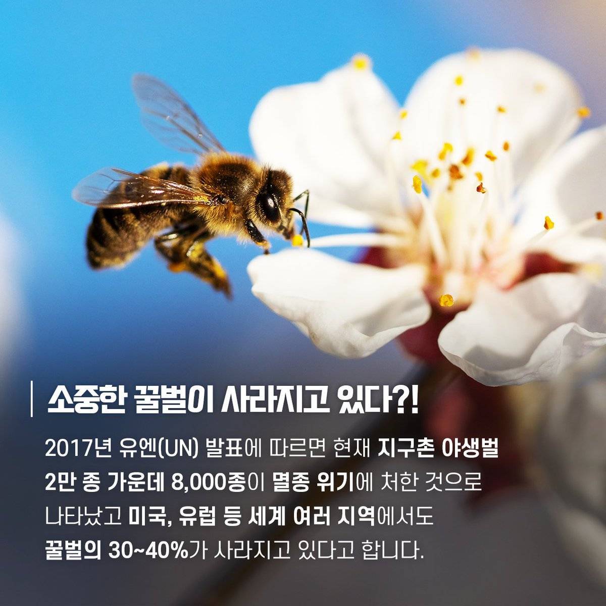 최근 사람들이 채식 시작하는 가장 큰 이유 | 인스티즈