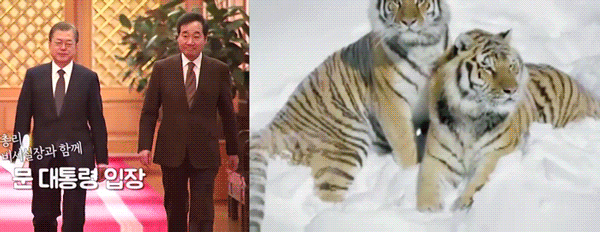 말 잘하는걸로 한국에 충격을 준 인물 ㅎ ㄷㄷ.jpg | 인스티즈