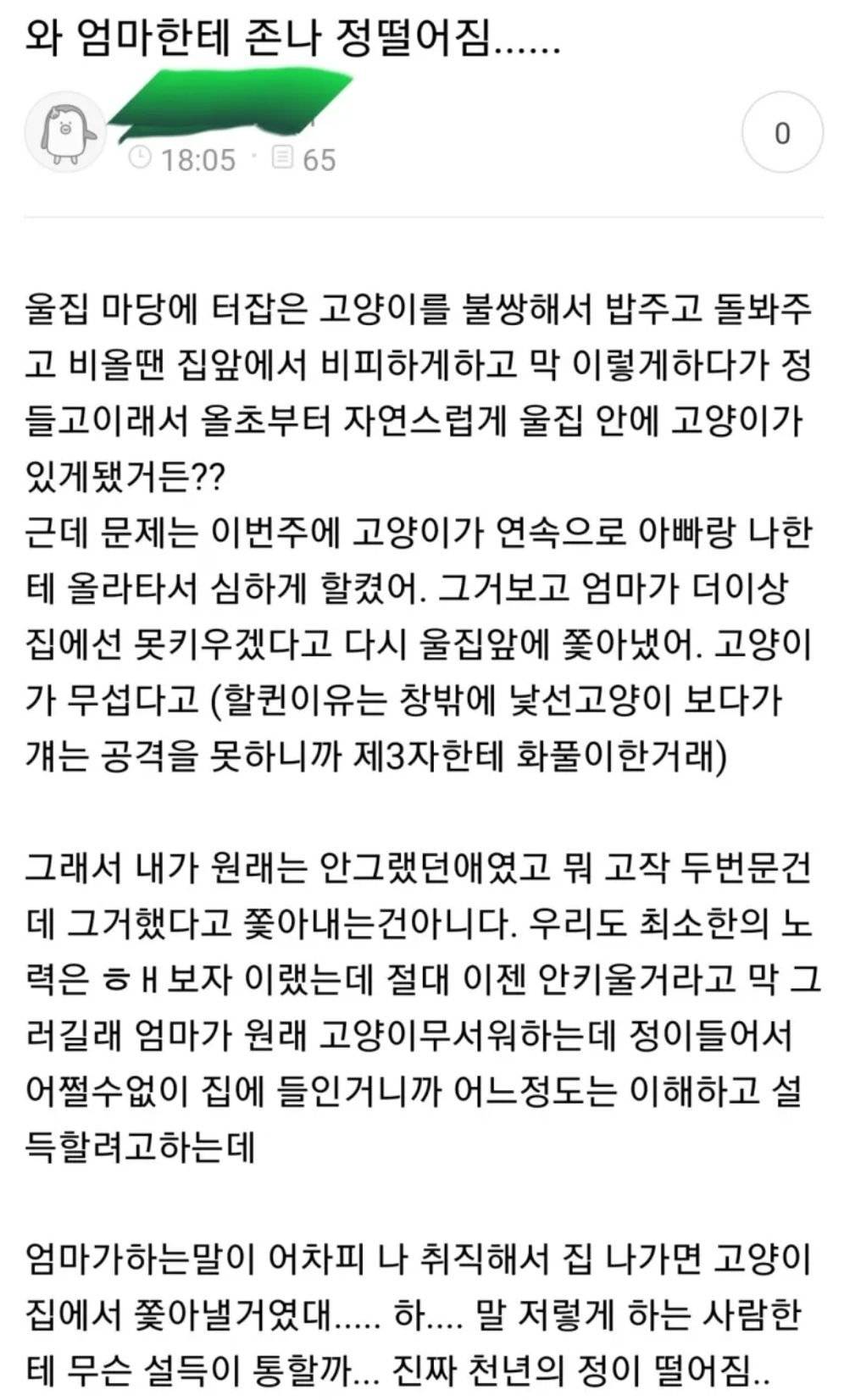 엄마한테 정이 떨어진 자식.txt | 인스티즈