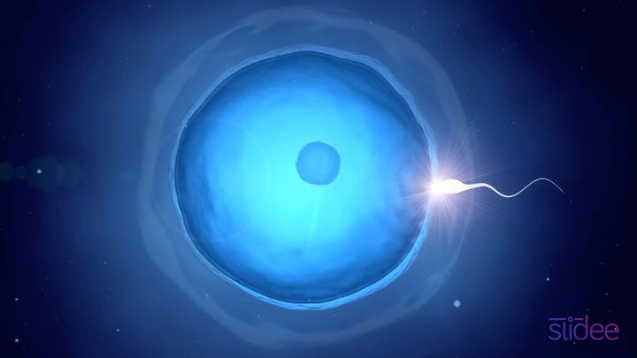 덴마크를 위해 ㅅㅅ하세요! (대인배의 캠페인) | 인스티즈