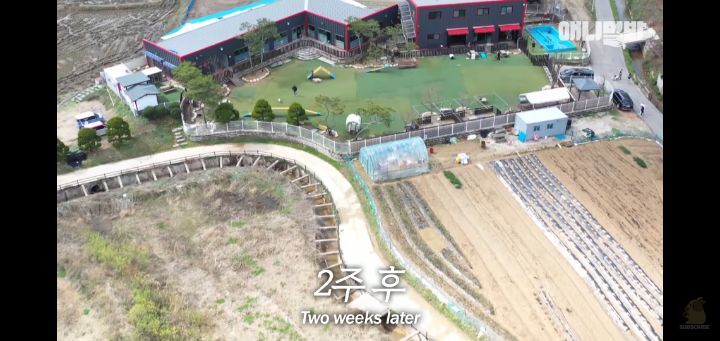 죽을것같은 우울증에 걸린 강아지 | 인스티즈