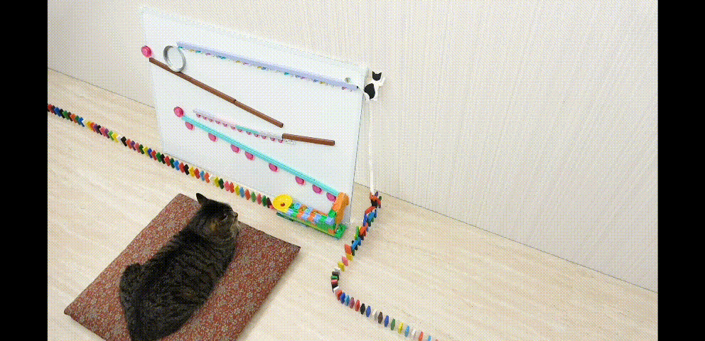 고양이와 도미노 | 인스티즈