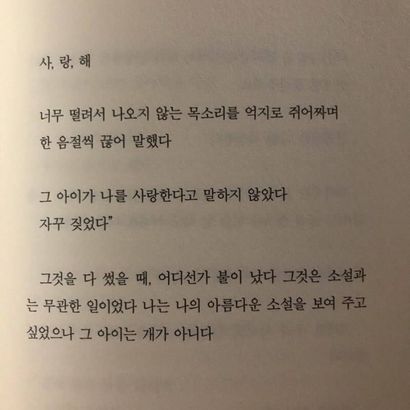 사랑은 살려달라고 하는 일 아니겠나 | 인스티즈
