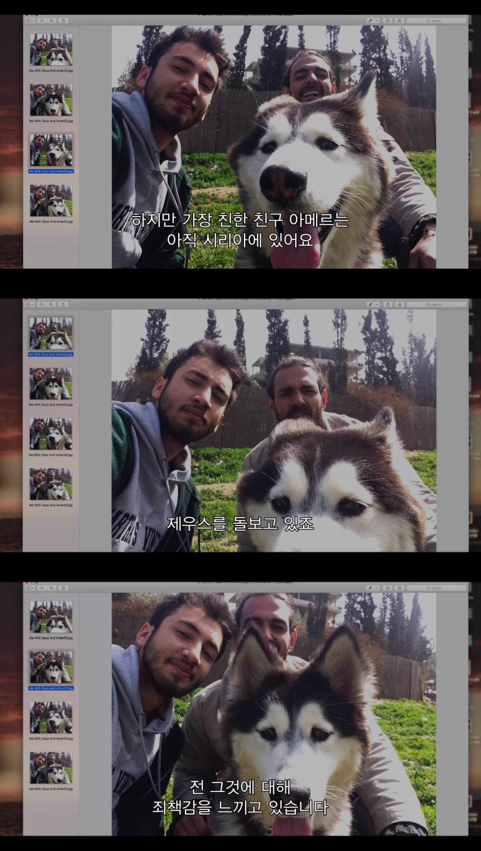 전쟁때문에 독일로 온 난민이라 시리아에 두고 온 내 강아지를 구조하려는데 갑자기 연락이 안된다 | 인스티즈