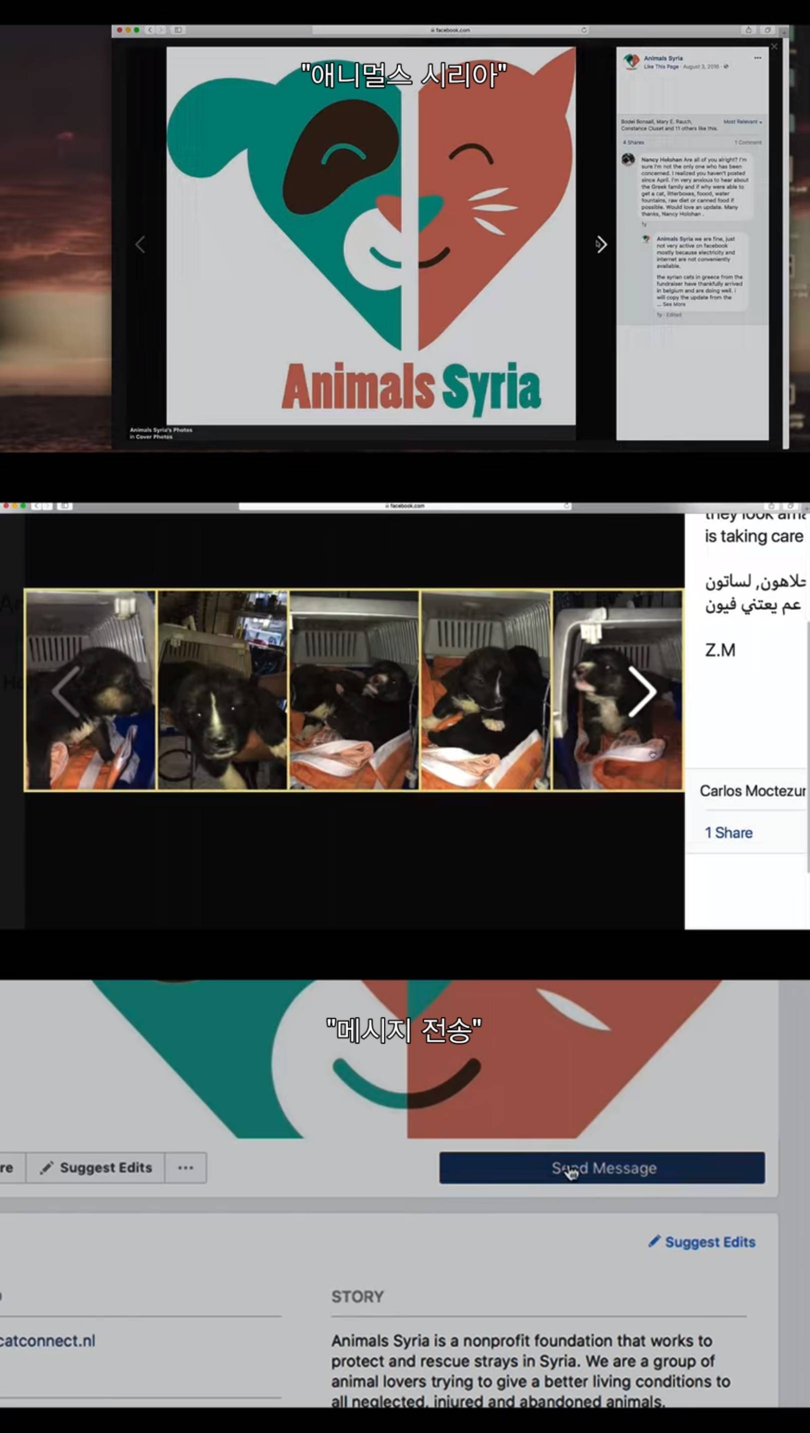 전쟁때문에 독일로 온 난민이라 시리아에 두고 온 내 강아지를 구조하려는데 갑자기 연락이 안된다 | 인스티즈