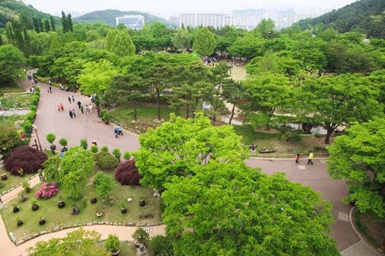 폭염도시로 유명한 대구를 그나마 살만하게 해준 정책.txt | 인스티즈