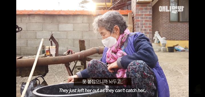 죽을것같은 우울증에 걸린 강아지 | 인스티즈