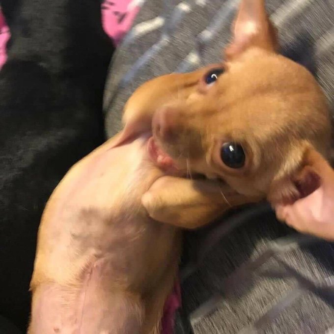 아니 진짜 개오바쩔어 노래 좀 불렀다고 이러는건 무슨 버르장머린지 | 인스티즈