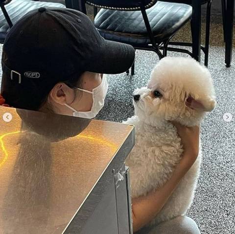 손님들한테 너무 들이대고 과하게 애교 부려서 혼나는 중 | 인스티즈