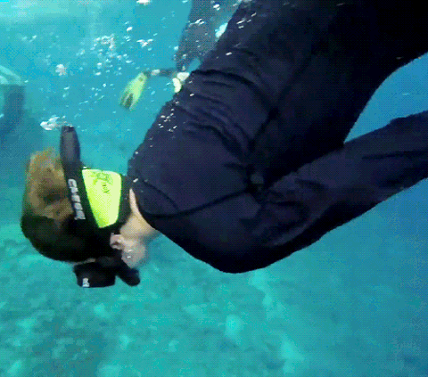 학창시절 예체능 선생님들이 서로 데려가려고 했다는 방탄소년단 정국 | 인스티즈