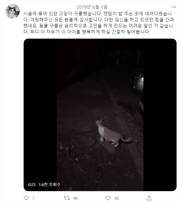 한 트짹이의 고양이 구출 | 인스티즈